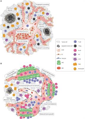 High Endothelial Venules: A Vascular Perspective on Tertiary Lymphoid Structures in Cancer